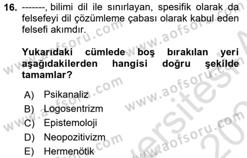 Çağdaş Felsefe 2 Dersi 2024 - 2025 Yılı (Final) Dönem Sonu Sınav Soruları 16. Soru