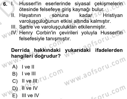 Çağdaş Felsefe 2 Dersi 2024 - 2025 Yılı (Final) Dönem Sonu Sınav Soruları 6. Soru