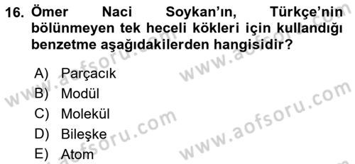 Türkiye´de Felsefenin Gelişimi 2 Dersi 2018 - 2019 Yılı Yaz Okulu Sınav Soruları 16. Soru