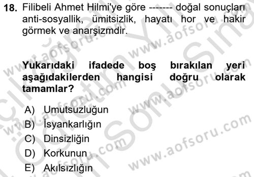 Türkiye´de Felsefenin Gelişimi 2 Dersi 2023 - 2024 Yılı (Final) Dönem Sonu Sınav Soruları 18. Soru