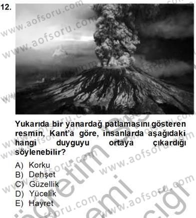 Estetik ve Sanat Felsefesi Dersi 2014 - 2015 Yılı (Final) Dönem Sonu Sınav Soruları 12. Soru