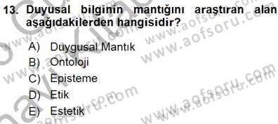 Estetik ve Sanat Felsefesi Dersi 2015 - 2016 Yılı (Vize) Ara Sınav Soruları 13. Soru
