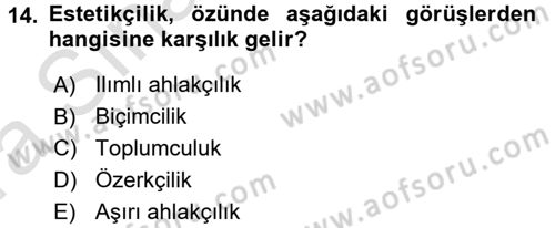Estetik ve Sanat Felsefesi Dersi 2016 - 2017 Yılı (Vize) Ara Sınav Soruları 14. Soru