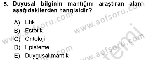 Estetik ve Sanat Felsefesi Dersi 2016 - 2017 Yılı (Vize) Ara Sınav Soruları 5. Soru