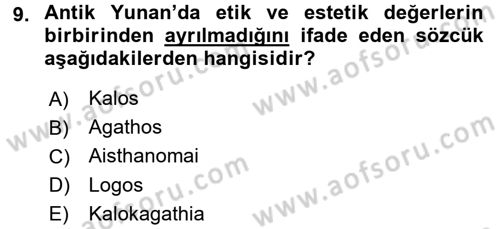 Estetik ve Sanat Felsefesi Dersi 2016 - 2017 Yılı (Vize) Ara Sınav Soruları 9. Soru