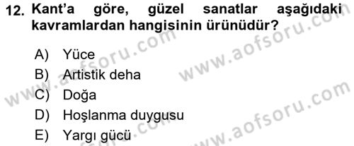 Estetik ve Sanat Felsefesi Dersi 2016 - 2017 Yılı (Final) Dönem Sonu Sınav Soruları 12. Soru