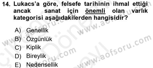 Estetik ve Sanat Felsefesi Dersi 2016 - 2017 Yılı (Final) Dönem Sonu Sınav Soruları 14. Soru