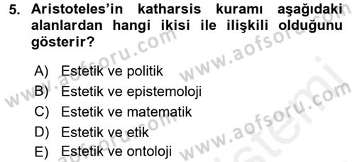 Estetik ve Sanat Felsefesi Dersi 2016 - 2017 Yılı (Final) Dönem Sonu Sınav Soruları 5. Soru