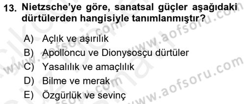 Estetik ve Sanat Felsefesi Dersi 2018 - 2019 Yılı (Final) Dönem Sonu Sınav Soruları 13. Soru