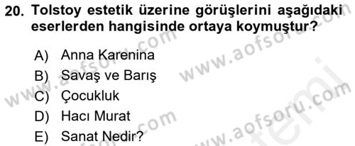 Estetik ve Sanat Felsefesi Dersi 2018 - 2019 Yılı (Final) Dönem Sonu Sınav Soruları 20. Soru