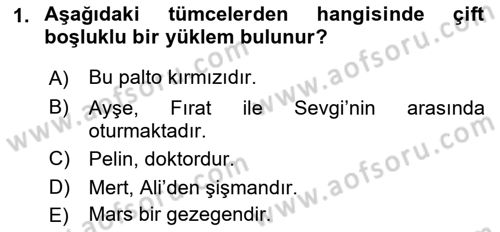 Dil Felsefesi Dersi 2016 - 2017 Yılı (Final) Dönem Sonu Sınav Soruları 1. Soru