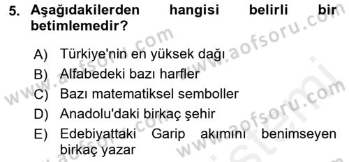 Dil Felsefesi Dersi 2018 - 2019 Yılı (Final) Dönem Sonu Sınav Soruları 5. Soru