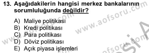 Finansal Kurumlar Dersi 2012 - 2013 Yılı (Vize) Ara Sınav Soruları 13. Soru
