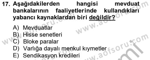 Finansal Kurumlar Dersi 2012 - 2013 Yılı (Vize) Ara Sınav Soruları 17. Soru