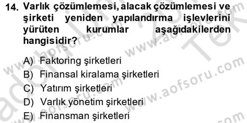 Finansal Kurumlar Dersi 2013 - 2014 Yılı Tek Ders Sınav Soruları 14. Soru