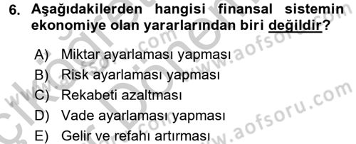 Finansal Kurumlar Dersi 2016 - 2017 Yılı (Vize) Ara Sınav Soruları 6. Soru