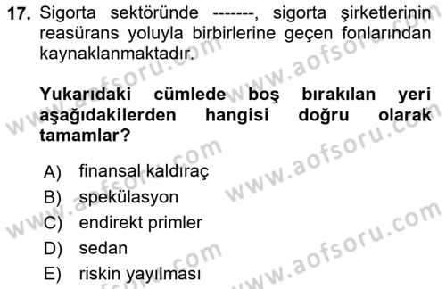 Finansal Kurumlar Dersi 2022 - 2023 Yılı Yaz Okulu Sınavı 17. Soru