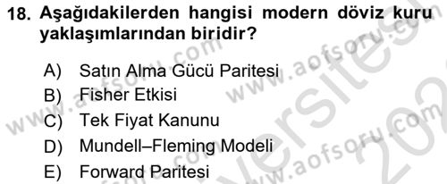 Finansal Yönetim 1 Dersi 2025 - 2026 Yılı (Final) Dönem Sonu Sınav Soruları 18. Soru
