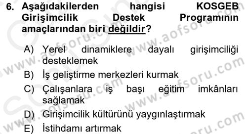 Girişim Finansmanı Dersi 2016 - 2017 Yılı (Final) Dönem Sonu Sınav Soruları 6. Soru