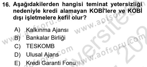 Girişim Finansmanı Dersi 2023 - 2024 Yılı (Final) Dönem Sonu Sınav Soruları 16. Soru