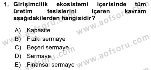 Girişim Finansmanı Dersi 2024 - 2025 Yılı (Vize) Ara Sınav Soruları 1. Soru