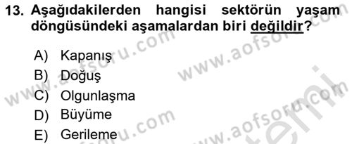 Girişim Finansmanı Dersi 2024 - 2025 Yılı (Vize) Ara Sınav Soruları 13. Soru