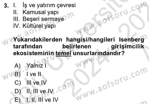 Girişim Finansmanı Dersi 2024 - 2025 Yılı (Vize) Ara Sınav Soruları 3. Soru