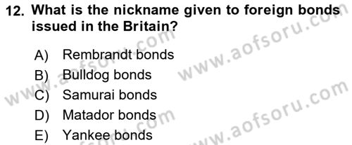 Business Finance 2 Dersi 2024 - 2025 Yılı (Vize) Ara Sınav Soruları 12. Soru