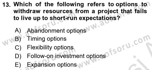 Business Finance 2 Dersi 2024 - 2025 Yılı (Vize) Ara Sınav Soruları 13. Soru