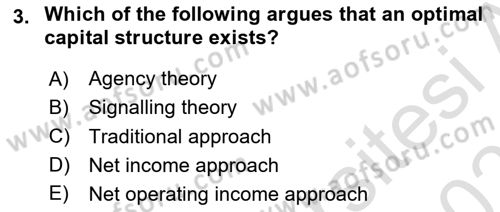 Business Finance 2 Dersi 2024 - 2025 Yılı (Vize) Ara Sınav Soruları 3. Soru
