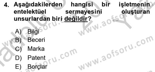 Finansal Yönetim 2 Dersi 2018 - 2019 Yılı Yaz Okulu Sınavı 4. Soru