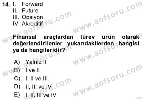 Finansal Yönetim 2 Dersi 2020 - 2021 Yılı Yaz Okulu Sınav Soruları 14. Soru