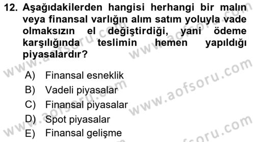 Finansal Yönetim 2 Dersi 2021 - 2022 Yılı Yaz Okulu Sınav Soruları 12. Soru