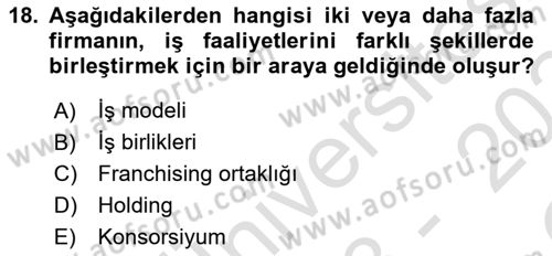 Finansal Yönetim 2 Dersi 2023 - 2024 Yılı Yaz Okulu Sınav Soruları 18. Soru