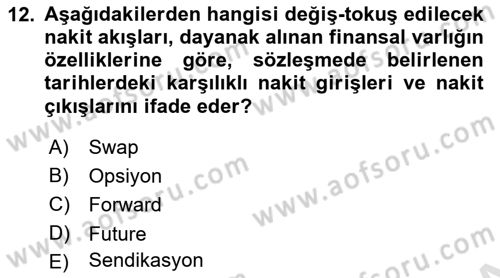 Finansal Yönetim 2 Dersi 2024 - 2025 Yılı Yaz Okulu Sınav Soruları 12. Soru