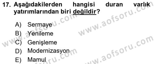 Finansal Yönetim Dersi 2023 - 2024 Yılı Yaz Okulu Sınav Soruları 17. Soru