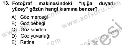 Temel Fotoğrafçılık Dersi Ara Sınavı Deneme Sınav Soruları 13. Soru
