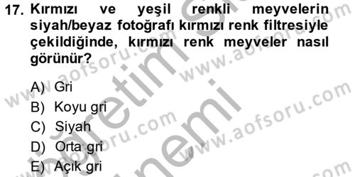 Temel Fotoğrafçılık Dersi 2014 - 2015 Yılı (Final) Dönem Sonu Sınav Soruları 17. Soru