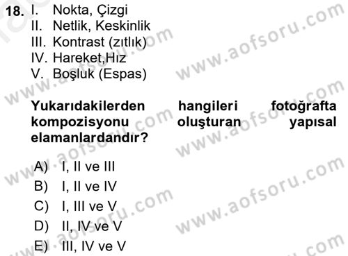 Temel Fotoğrafçılık Dersi 2018 - 2019 Yılı (Vize) Ara Sınav Soruları 18. Soru