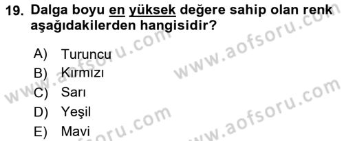 Temel Fotoğrafçılık Dersi Ara Sınavı Deneme Sınav Soruları 19. Soru