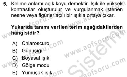 Temel Fotoğrafçılık Dersi 2024 - 2025 Yılı Yaz Okulu Sınav Soruları 5. Soru