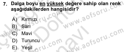 Temel Fotoğrafçılık Dersi 2025 - 2026 Yılı (Final) Dönem Sonu Sınav Soruları 7. Soru