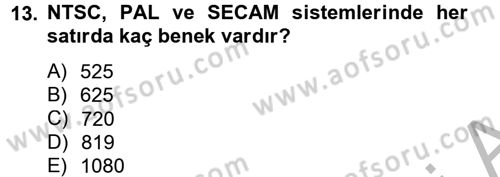 Hareketli Görüntünün Tarihi Dersi 2012 - 2013 Yılı (Vize) Ara Sınav Soruları 13. Soru