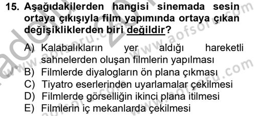 Hareketli Görüntünün Tarihi Dersi 2012 - 2013 Yılı (Vize) Ara Sınav Soruları 15. Soru