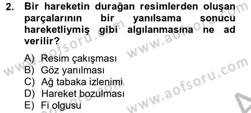 Hareketli Görüntünün Tarihi Dersi 2012 - 2013 Yılı (Final) Dönem Sonu Sınav Soruları 2. Soru