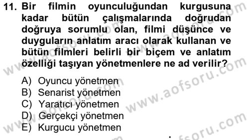Hareketli Görüntünün Tarihi Dersi 2013 - 2014 Yılı Tek Ders Sınav Soruları 11. Soru