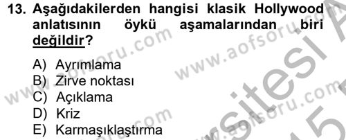 Hareketli Görüntünün Tarihi Dersi 2014 - 2015 Yılı (Vize) Ara Sınav Soruları 13. Soru