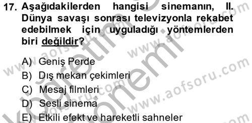 Hareketli Görüntünün Tarihi Dersi 2014 - 2015 Yılı (Vize) Ara Sınav Soruları 17. Soru