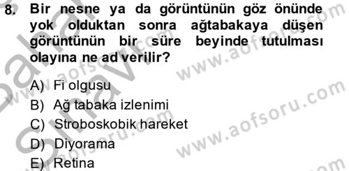 Hareketli Görüntünün Tarihi Dersi 2014 - 2015 Yılı (Vize) Ara Sınav Soruları 8. Soru