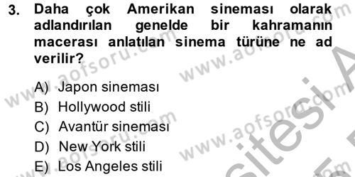 Hareketli Görüntünün Tarihi Dersi 2014 - 2015 Yılı (Final) Dönem Sonu Sınav Soruları 3. Soru